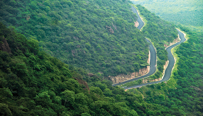 Best Monsoon Road Trips in India For Long Weekends